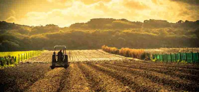 as-origens-da-agricultura-no-brasil