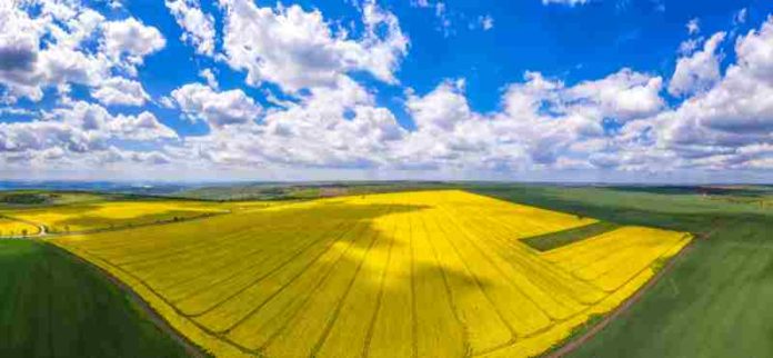 o-que-e-agricultura-e-seus-principais-tipos